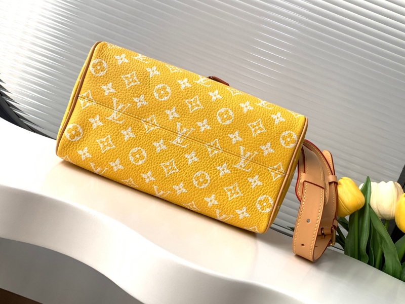 LV Speedy Bags